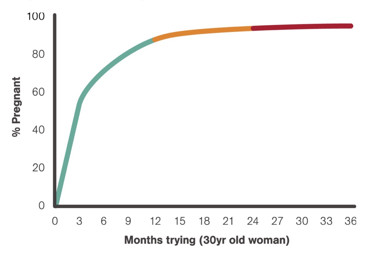 access fact sheet defiining infertility dragged