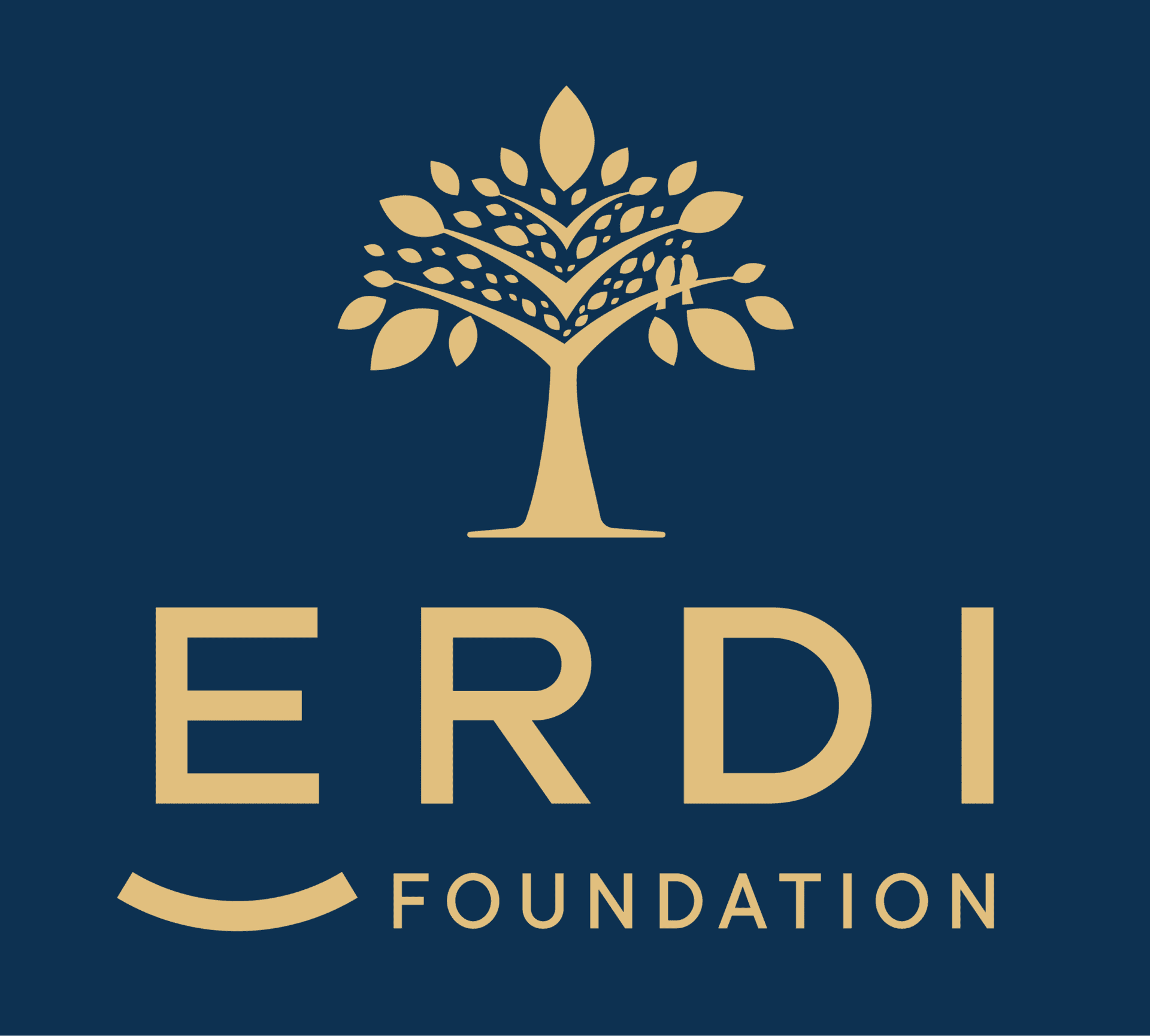 erdi foundation logo gob square digital