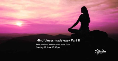 mindfulness webinar ajfn