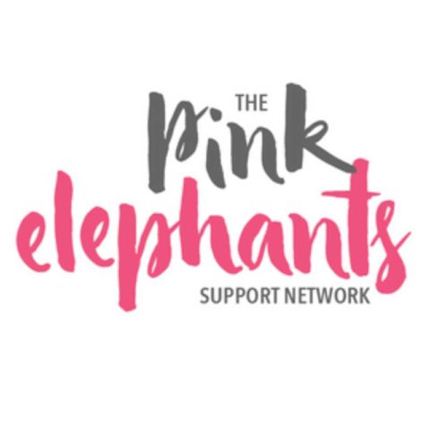 the pink elephant support network logonew 880dc5 (3)